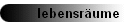 lebensrume